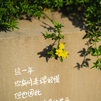 2025��һ�꣬�������ô����