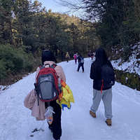 Ԫ����13������ɽ����ɭ�ֹ�԰��ѩ