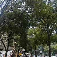 ���궹����һ���Σ����ž���һ��ûȥ