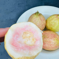 ��ĺܰ��԰���