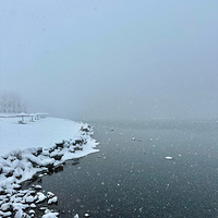 ��ǰ20��ä�������Ԫ��ˣѩ������ûʧ��