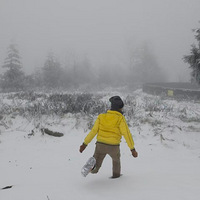 ���ڶ��ڡ�15��ѩͽ��¹ƺ