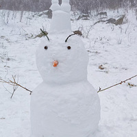 2026Ԫ��������¹ƺ