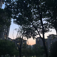 26�꣬����ĵ�һ�����⣬������С���ĵ�������