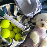 ��������ȥ����