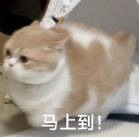 ���ֱ�������ɹ̫���ĺõط������㾰���� �����޹�������