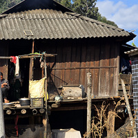 �ޱ��⣬ֻ����