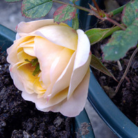 ���ͻ������ϰ࣬�������ע���ٵ�����