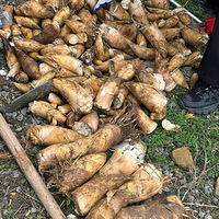 ��ϲ�������������һ��