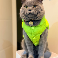 ���껻����