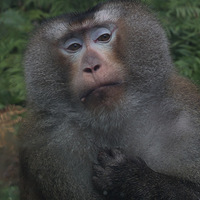 ���ݿ��������μǣ�Ϣ��+����+����+����+�׹�+ǭ�飩