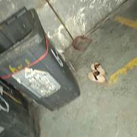 ���ܹ��ң��������Ů���Ĵ�