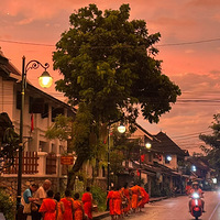 ���ٴ������ţ�7�ջ����Σ��Ų������������˫����