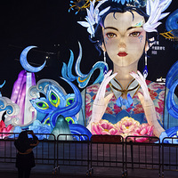 2026��εƻ�������