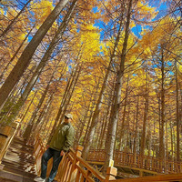 �����л�Ӧ�����������䣡��ů��̤ʵ�����һ�����KPIѽ��