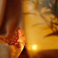 2026����123����