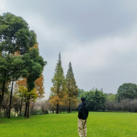 95�б���173��������Ӫ��������