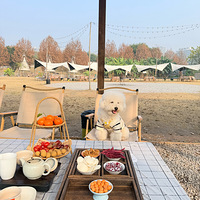 �޹��������