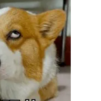 ���İ�ר�������ã������󸾵����ҳɡ����¹��С���......