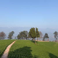 �÷羰��Ȼ�ȸ����ǿ�