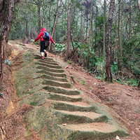 ������С��ͽ����·������ɽ-�Ȼ��С���ߡ���·ͼ