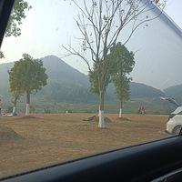 �µ����⴮