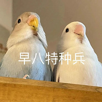 ��119ֵ����ܽ���޻����׾���30֧59�������������3��18