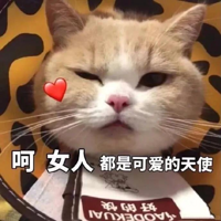 ����ܹ�����İ���˵�������?