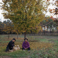 40���66�꣬һ��ĸ��ѡ�񹲾ӣ�������������������