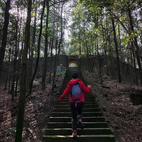 ������ƺС���ߡ��������� �� ��С��ͽ����·