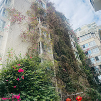 �ں��Ͽ�����һ���������Ƶķ��ӡ�����