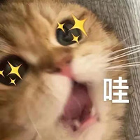 Ѱ������������Ǯ��20���������ĸ���ף�һ��������