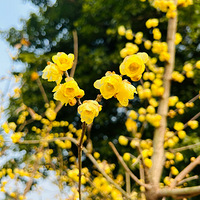 ������ͽ��·�ߡ������۶��տ���÷