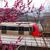 �����԰Ҳ���ĵ�����������г�