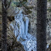 ���յľ�կ����