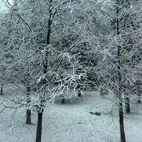 3��+1С�����һ����