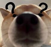 ����������������40�����ڻ�׬Ǯ�������˷�����ֵꣿ