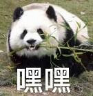 �������������򿨵�޶࣡������ֻ�������������ն�������