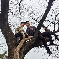 ������ɽ