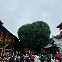 2026��һ�ɡ�Ԫ�����и�֮�����и�֮�ˣ���Ȫ�ݸ��ܺ�˿�Ļ�