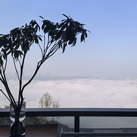 85��������飬���й�˾��