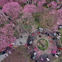 ���ƺ�������