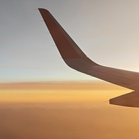 ����ľ����ûȥ�����׻��ˣ��Ұ�����ȥ���ˣ�������