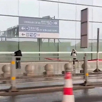 ����վ��Ϊ���񱼡�������ж�������Ϊ�����᲻���Լ����������