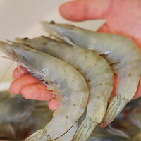 ���ζ���Ϻ������50���������꣬ʵ��ʵ��������û��è�壡