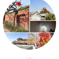 �ź�����