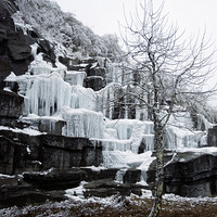 �����ѩ��