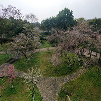 ���к���ɽɫ�����÷԰