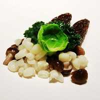 һ���Ǿ�һ����ʳ�������꾴����