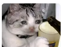 ����...��Ϸ�����ˣ�